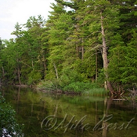  Crystal River 