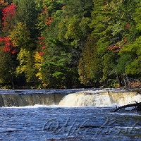  Tahquamenon River  