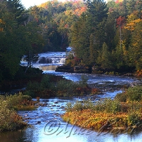  Tahquamenon River 