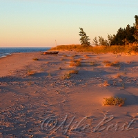  Port Oneida 