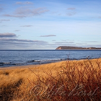  Good Harbor Bay 