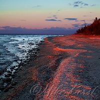  Port Oneida 