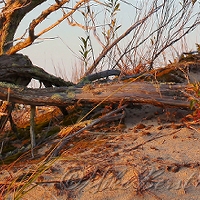  Leelanau State Park 