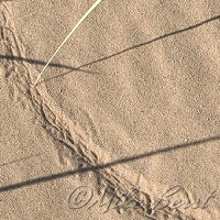  Sleeping Bear Dunes 