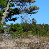  Leelanau State Park 