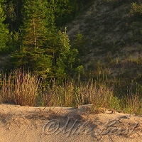  Leelanau State Park 