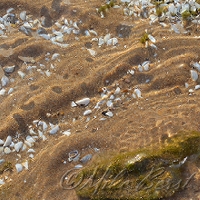  Big Stone Bay 