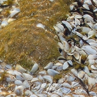  Big Stone Bay 