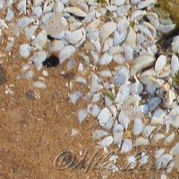  Big Stone Bay 