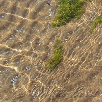  Big Stone Bay 