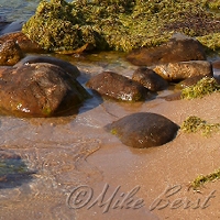  Big Stone Bay 