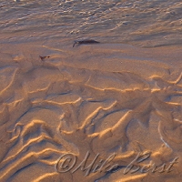  Platte Bay 