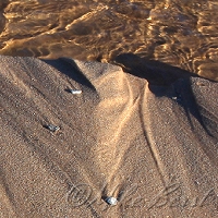  Platte Bay 