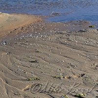  Platte Bay 