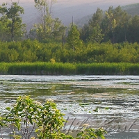  Mill Pond 
