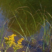  Chippewa Run 