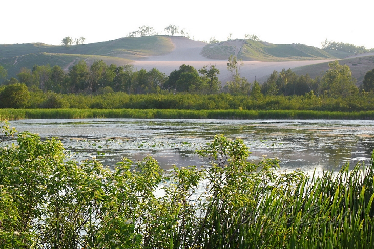  Mill Pond 