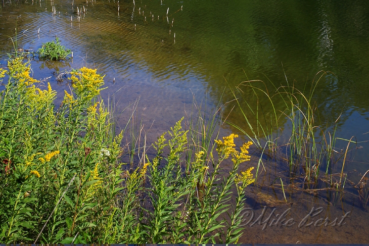  Chippewa Run 