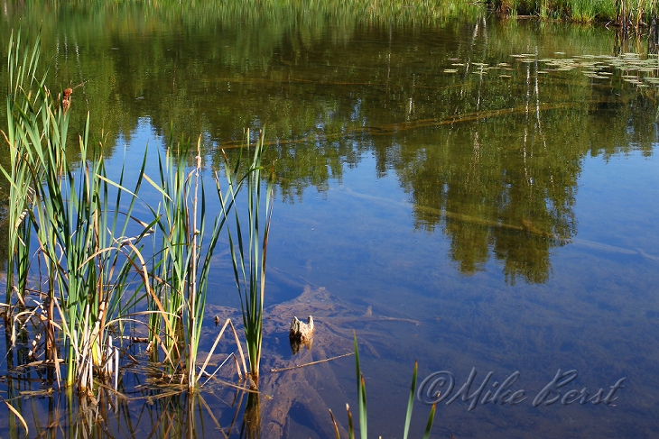  Chippewa Run 