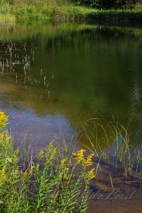  Chippewa Run 