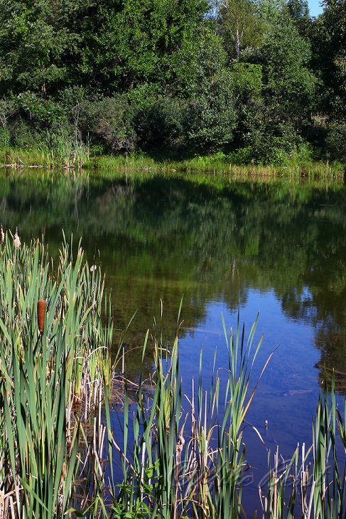  Chippewa Run 