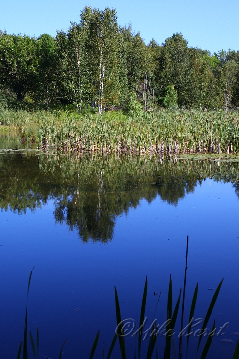  Chippewa Run 